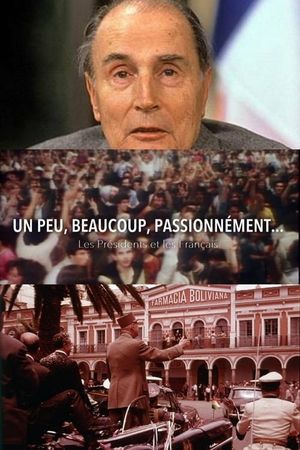 Un peu, beaucoup, passionnément... Les Présidents et les Français's poster