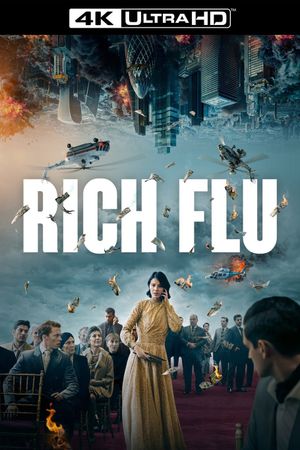 Rich Flu's poster