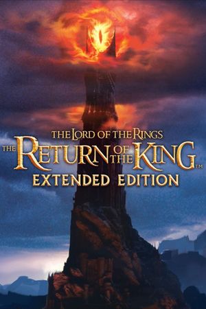 The Lord Of The Rings: The Return Of The King (Extended Edition)'s poster