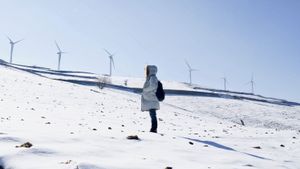 The Hill of Wind's poster