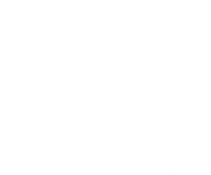 Catch Me If You Claus's poster