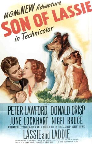 Son of Lassie's poster image
