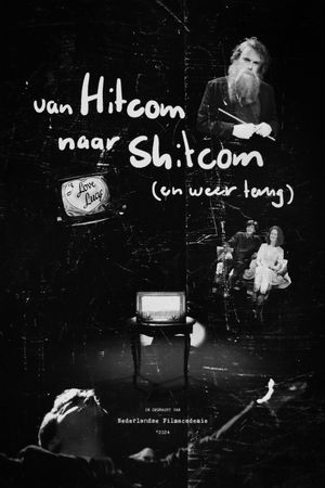 From Hitcom To Shitcom (And Back)'s poster image