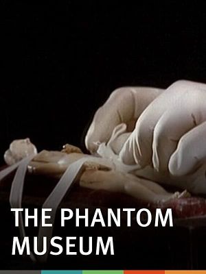 The Phantom Museum: Random Forays Into the Vaults of Sir Henry Wellcome's Medical Collection's poster