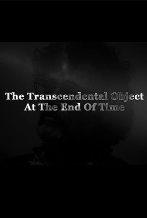 The Transcendental Object at the End of Time's poster image