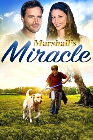 Marshall's Miracle's poster