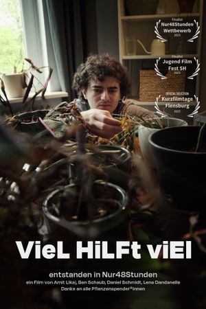 viel hilft viel's poster