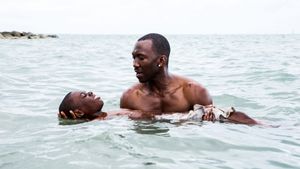 Moonlight's poster