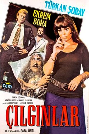 Çilginlar's poster