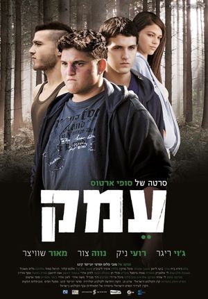 Valley's poster