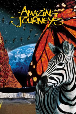 Amazing Journeys's poster