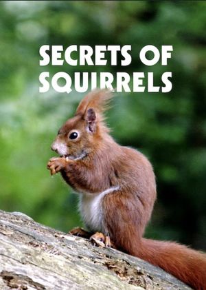 Secrets of Squirrels's poster