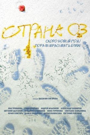 The Land of Oz's poster