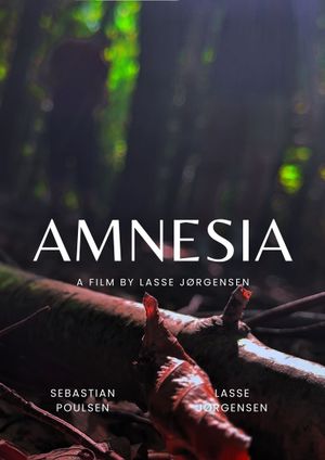 Amnesia's poster