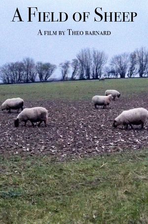 A Field of Sheep's poster