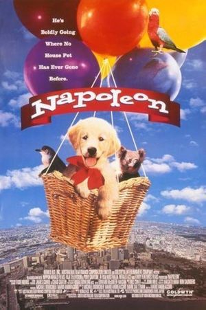 Napoleon's poster