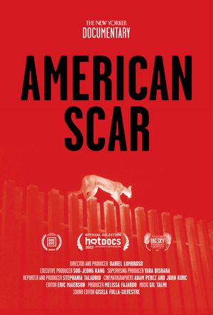 American Scar's poster