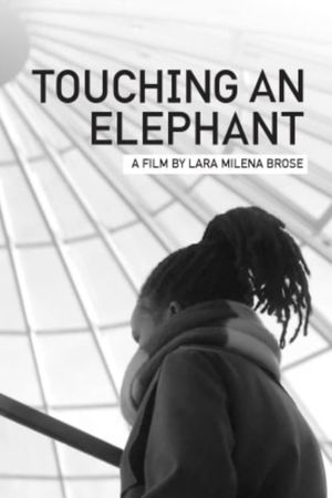 Touching An Elephant's poster