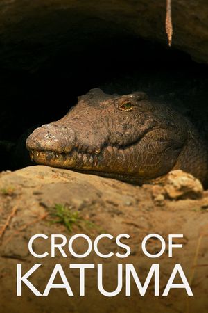 Crocs of Katuma's poster