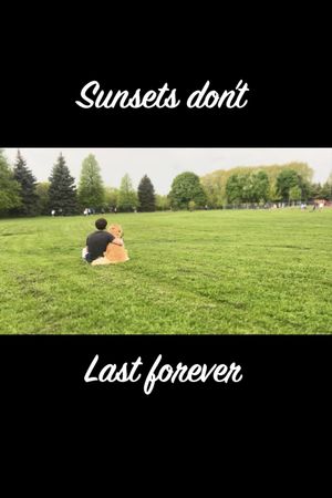 Sunsets Don't Last Forever's poster