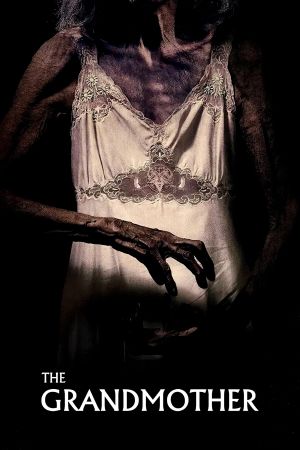 The Grandmother's poster