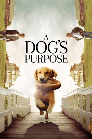 A Dog's Purpose's poster