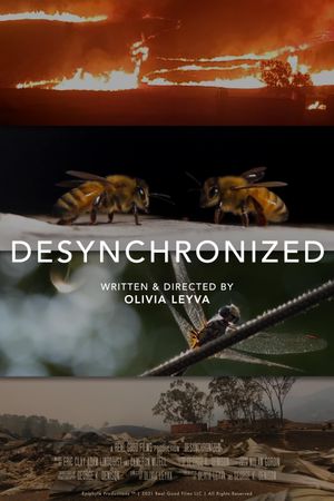 Desynchronized's poster