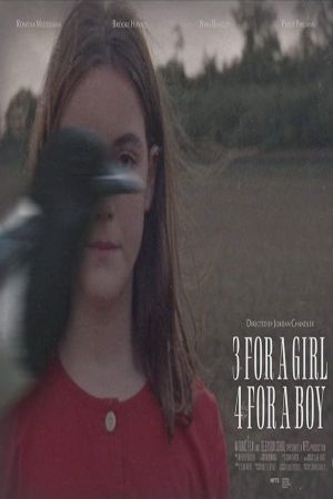 3 for a Girl 4 for a Boy's poster