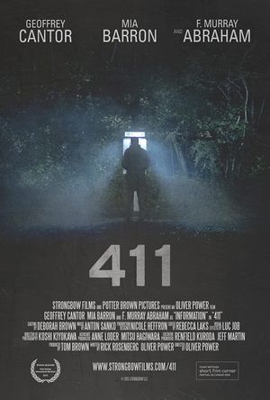 411's poster
