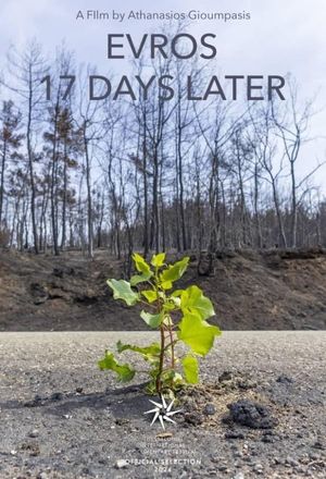 Evros – 17 Days Later's poster image