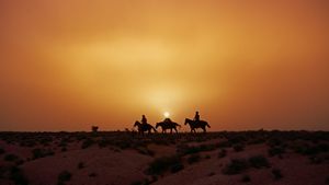 The Searchers's poster