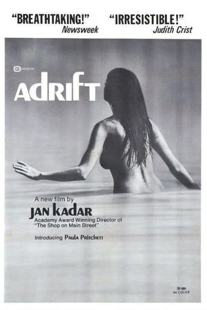 Adrift's poster