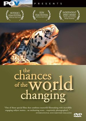 The Chances of the World Changing's poster
