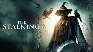 The Stalking's poster