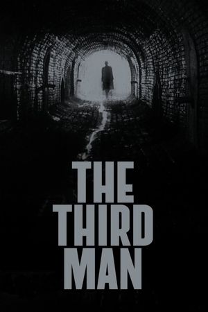 The Third Man's poster image