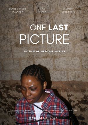 One Last Picture's poster
