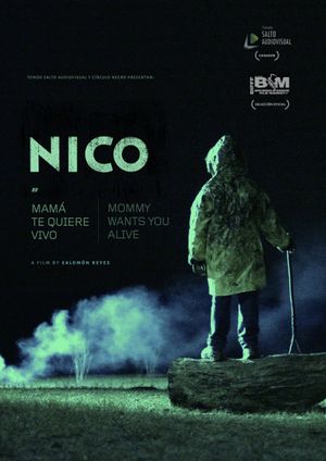 Nico's poster