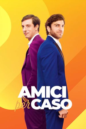 Amici per caso's poster