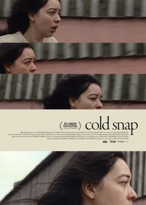 Cold Snap's poster
