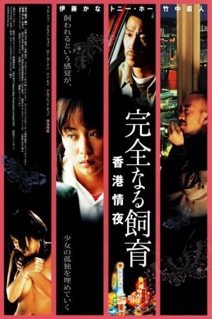 Perfect Education 3's poster