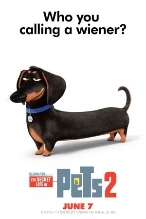 The Secret Life of Pets 2's poster
