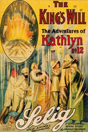 The King's Will's poster