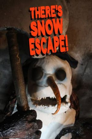 There's Snow Escape's poster