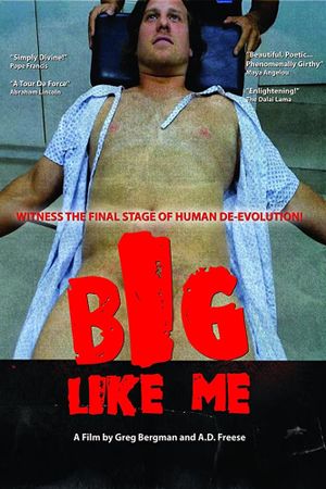 Big Like Me's poster