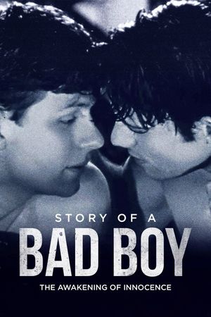 Story of a Bad Boy's poster image