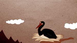 Mysterious Swamp's poster