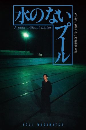 A Pool Without Water's poster