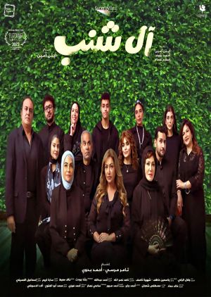 The Shanabs's poster