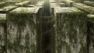The Maze Runner's poster