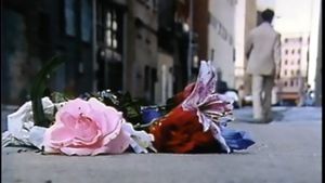 The Man Who Loved Flowers's poster